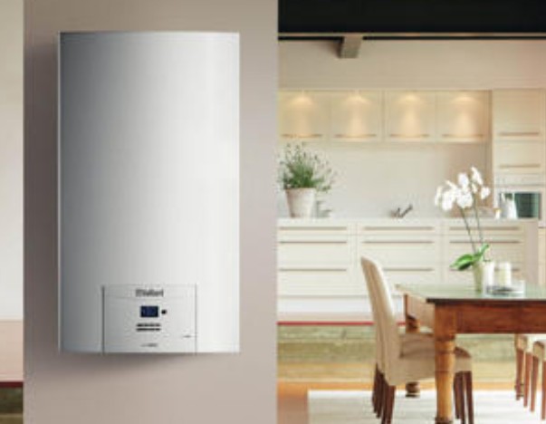 ���ܱڒ�t�ş�������ξS��/��Q�������Y