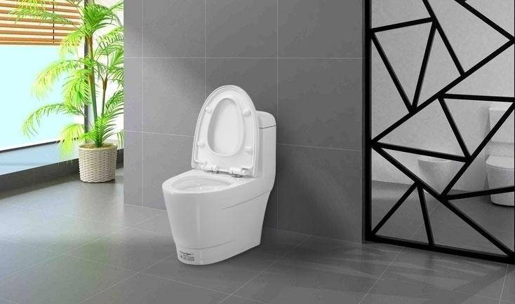 �RͰ�Iʲô���ӵĺ�