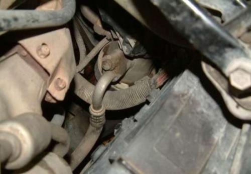 ���{©��ʲô�F��