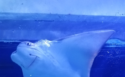 �V�݆T���坍�͟��C(j��)�r(ji��)��_���I(y��)����(w��)